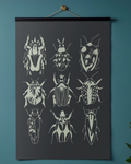 Bichos - Print A3